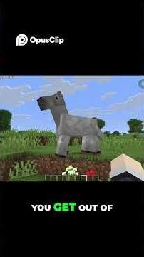 Minecraft Vulkan gives INSANE FPS!!!