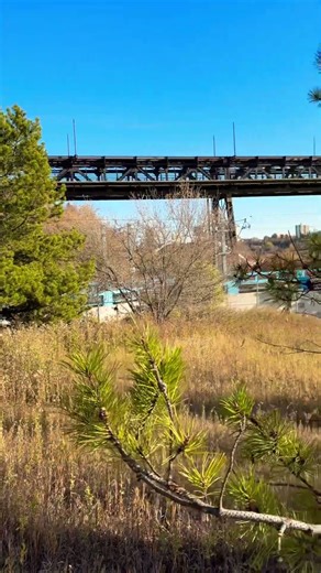 Afternoon Walk Stair Challenge #nature #fallseason #youtube #fypシ゚viral