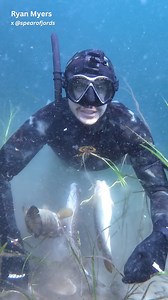Eating a Scallop Underwater! #spearfishing #fishing | Ryan Myers Spearfishing