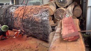 A Closer Look at Utmost Cutting Machines in Deep Forests