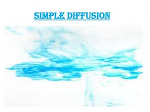 PPT - SIMPLE DIFFUSION PowerPoint Presentation, free download - ID:2423894