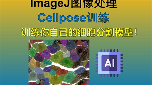 『充电专享』Cellpose训练！训练你自己的细胞分割模型！
