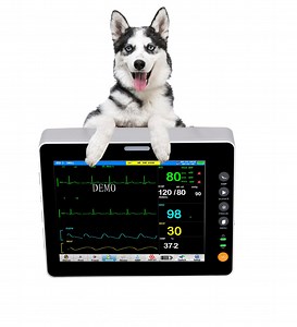 [Hot Item] 8-Inch Screen Electric Veterinary Patient Monitor