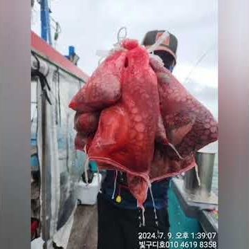 통영구디호 문어송#문어낚시 #섬치기문어