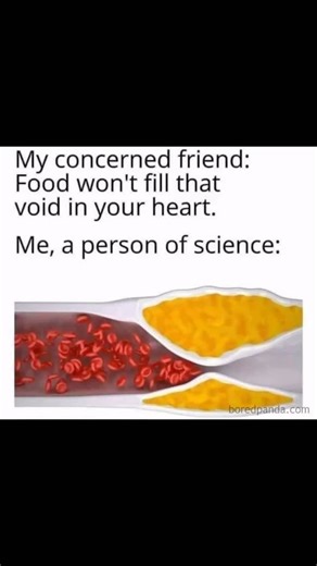 When Cholesterol Literally Fills the Void: Statins vs Stents 🫀😅 “My concerned friend: Food won’t fill the void in your heart… Me, a person of science: Actually… cholesterol can literally fill up the coronary arteries. 😅🫀 That build-up is called atherosclerosis and it can lead to coronary heart disease (CHD) — where the coronary arteries narrow, reducing blood (and oxygen) to the heart muscle. ✅ Two key treatments you need to know: 1. Statins 💊 – lower cholesterol in the blood, so plaques bu
