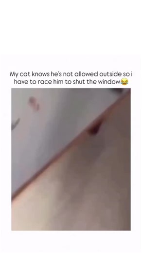 Universal Laughs on Instagram: "絵文字は1990年代後半に日本で誕生しました。 絵文字ができる前、人々は :-) や :-D のような基本的な記号を使って感情を表していました。 これらの初期の顔文字は便利でしたが、感情を正確に伝えるには限界がありました。 日本のデザイナー、栗田穣崇が最初の本格的な絵文字セットを作った人物として知られています。 彼はNTTドコモという携帯会社で働いていました。 当時、日本では携帯電話のメールが急速に普及していました。 栗田は、より速く、視覚的にコミュニケーションできる方法を求めていました。 そこで1999年、彼は12×12ピクセルの176種類の絵文字をデザインしました。 これらの小さなアイコンには、顔、天気、食べ物、日用品などが含まれていました。 このアイデアは日本の若者の間で急速に広まりました。 他の日本の携帯会社もすぐに独自の絵文字を作り始めました。 絵文字は成長し、日本の文化的なトレンドになりました。 文字メッセージに個性と感情を加えることができました。 2000年代初期、AppleやGoogleのような世界的企業も