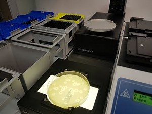 Automated lab for Microbiology - Plating and Colony Picking on the Tecan Fluent