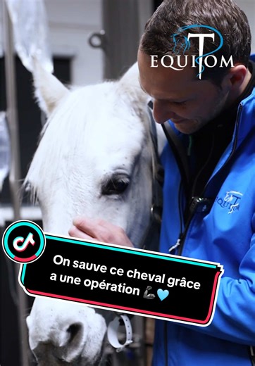 Les mélanomes ne sont pas une fatalité. Qu’est-ce qu’un mélanome ? Les mélanomes sont des tumeurs pigmentées qui touchent plus de 80 % des chevaux gris de plus de 15 ans. À un stade précoce, ils passent souvent inaperçus. 👉 Pendant longtemps, ils ont été considérés comme incurables. ❌ Une idée reçue persiste : retirer chirurgicalement un mélanome favoriserait une repousse plus rapide. 👉 En réalité, notre expérience clinique montre tout autre chose. 🦾 À Equitom, la prise en charge des mélanome