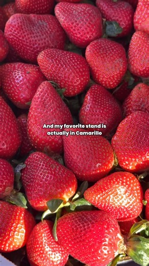 Jara Simpson on Instagram: "There are places in Ventura County that don’t advertise because they don’t need to. They rely on return customers and the kind of word-of-mouth that travels slower, but lasts longer. On a stretch of Somis Road in @visitcamarillo , @lasposasberries sits without ceremony. No curated signage other than their koi fish flag flying and flats of strawberries so red they border on theatrical, until you taste them and realize they’re simply honest. Deeply sweet. A little wild,