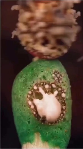 #foryou #foryoupage #tiktokofficialbangladesh #yppppppppppppppppppppppp #trending @TikTok @TikTok Bangladesh