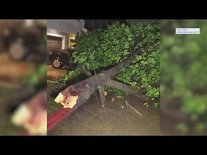 Overnight storms light up skies across Houston, cause damage in Conroe