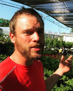 Super Summer Special! Fruit trees: Buy 1 Get the 2nd Half Price! #vankampens #growyourownfood #fruit #sale #PEI #summer | VK Greenhouses