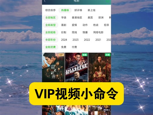 VIP视频小命令