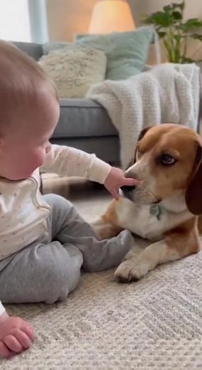 Baby Pokes Dog’s Cheek 🐶 #baby #Parrot #dog #cat #funnyvideos #fypシ #animals #trend #reels | Khim Sokun