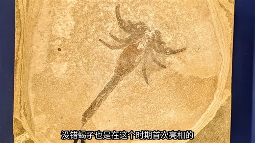志留纪的奇特生命-【ExtinctZoo】
