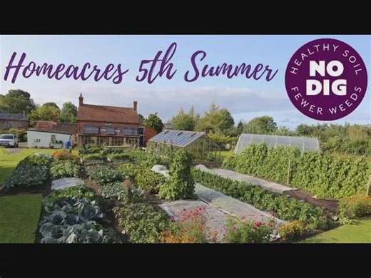 No dig garden fifth summer: veg, fruit, flowers, intense cropping and easy weeding