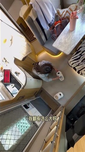 Mystery Breaks Out in RV Life! Camping Suspense Daily Vlog