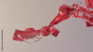 Watermelon slices with juice stream. Slow motion realistic 3d animation.