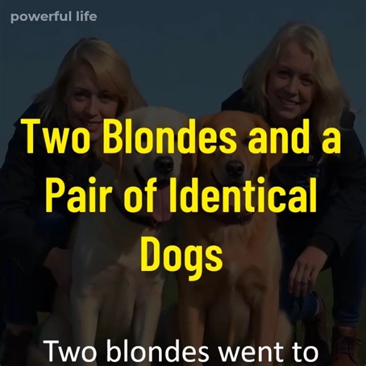 Two Blondes and a Pair of Identical Dogs | Powerful Life