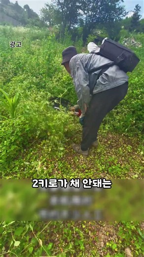 풀 자르는 빗자루와 쓰레받기