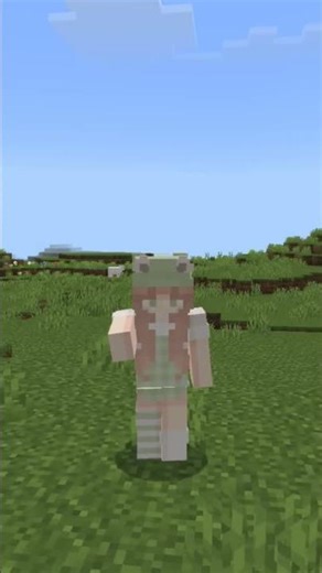 É PERUCAAAAAA #minecraft #curteecompartilha #naofloppa #minecraftmemes
