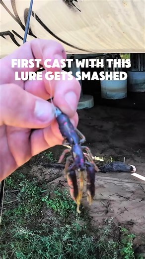 This lure gets smashed by flattys!! New video live now on YT - Jacob Marsden #swanriver #fishing #flathead #perthfishing #fyppppppppppppppppppppppp