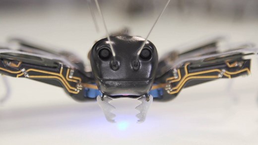 298K views · 613 reactions | These bionic ants have the ability to think independently but work together. | Insider Tech | Facebook