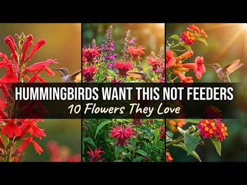 10 Flowers That Make Hummingbirds Never Leave Your Garden