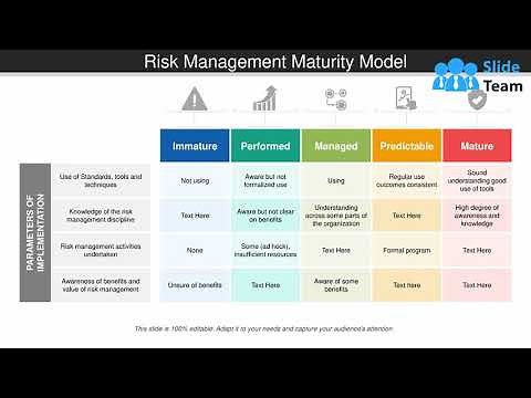 Risk Management Maturity Model