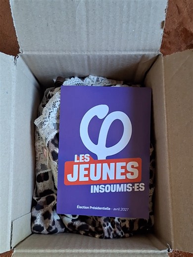 Vinted : garder la pince et la sucette — POV tous mes futurs colis Vinted