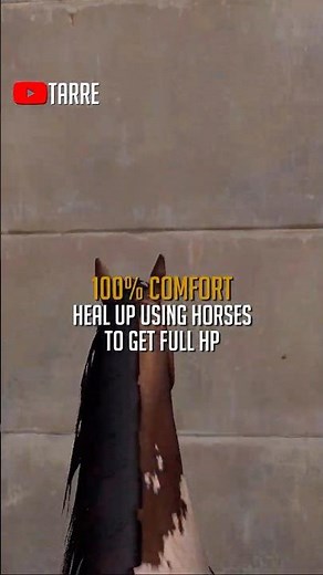 How To Get 100% Comfort In Rust With Horses!
