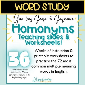 English Homonyms Multiple Meaning Words Activities