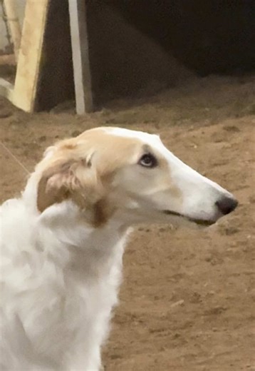 more confirmation practice