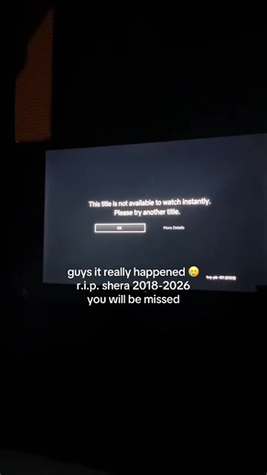 Remembering She-Ra: A Farewell to a Beloved Series