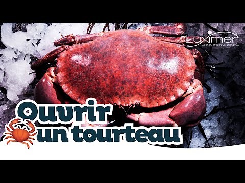 Tuto : Comment ouvrir un tourteau facilement ?