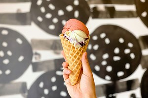 17  Fun Things to Do in Chattanooga TN » Local Adventurer in Tennessee