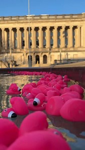 FISH FOR FLAMINGO DUCKS! 🎣🦩 At 9 a.m. on Friday, Oct. 10, we’ll dump a flock of flamingo rubber duckies into the fountain at Library Mall. We’ll provide a net, and any that you rescue are yours to keep! | Wisconsin Alumni