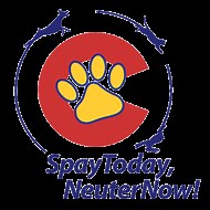 Essential Veterinary Services in Denver & Beyond