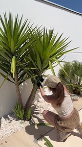 PUESTA A PUNTO DE NUESTRO JARDIN PARA EL VERANO 🌱🥰 Lo primero que hacemos es retirar todas las malas hierbas de nuestras jardineras! Luego pasamos con pistola a presión por todos lados! Suelos, césped, paredes exteriores y hasta nuestro cobertor al principio de verano y final echamos una capa protectora de aceite a nuestros muebles de madera y limpiamos con aspiradora de agua todos los cojines! Colocamos nuestro chill out y esta sombrilla para poder protegernos del sol todo el verano! Ahora si