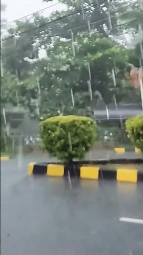 ASMR Heavy Rain & Thunder | Relaxing Rain Sounds for Deep Sleep 🌧️⚡