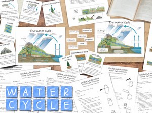 The Water Cycle: labeled & unlabeled diagrams, human impacts, 3 lab activities