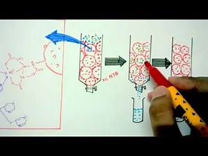 Affinity chromatography