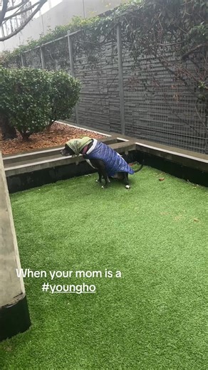 Is Your Dog Tired of You? Here's How to Tell!