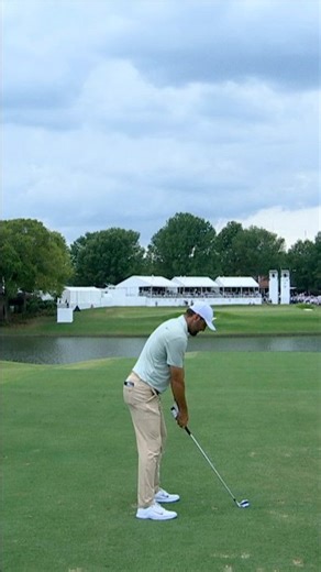 12 Days of Scottie: 2024 TOUR Championship ⛳