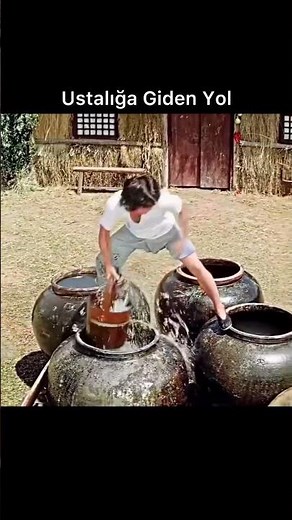 Drunken Master (1978)