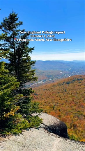 The foliage this year is super super early and in many spots like in the White Mountains in New Hampshire, it has already peaked or as past peak😱 My guess was peak for October 11 and everyone, including meteorologists are shocked it came so early/ blame it on the drought! Trees are stressed! YES, if you go later it still will be pretty but as you can see the color this year is very muted. 🍁Where to go⬇️ 📍Stowe, Vermont - at peak or peak in a couple days 📍 southern new Hampshire - Plainfield 