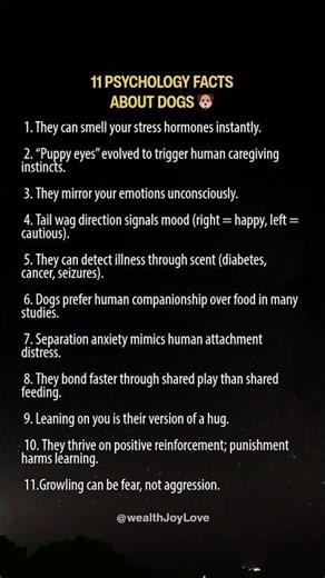 11 Psychology Facts About Dogs 🐶 #dogs #dogfacts #psychology