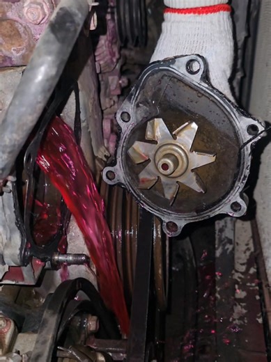 Engine water pump Leakage bearing noise #auto #mechanic | mechanic