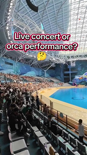 The orca show was a total stadium-rock spectacle, complete with a powerhouse vocal performance that turned the splash zone into a literal concert hall!