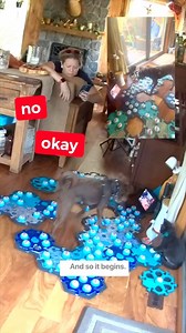 A new generation of tattling 😭 #talkingdog #fluentpet #wildwildwestley #catanddog #interspeciesfamily #interspeciesfriendship | Bastian the Talking Terrier